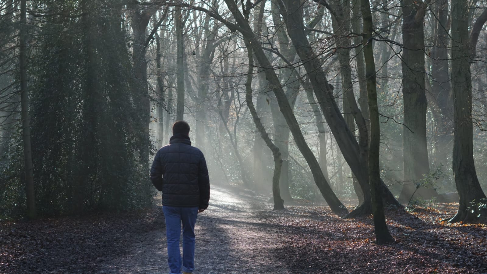 Highgate Wood, London. Photo by Esme Alner.